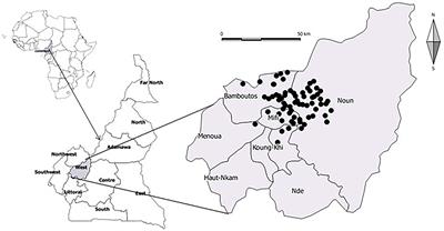 Cross-Sectional Survey of Prophylactic and Metaphylactic Antimicrobial Use in Layer Poultry Farming in Cameroon: A Quantitative Pilot Study